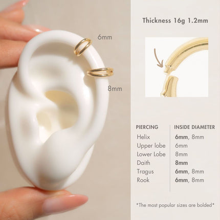 Cartilage Double Hoop Earring