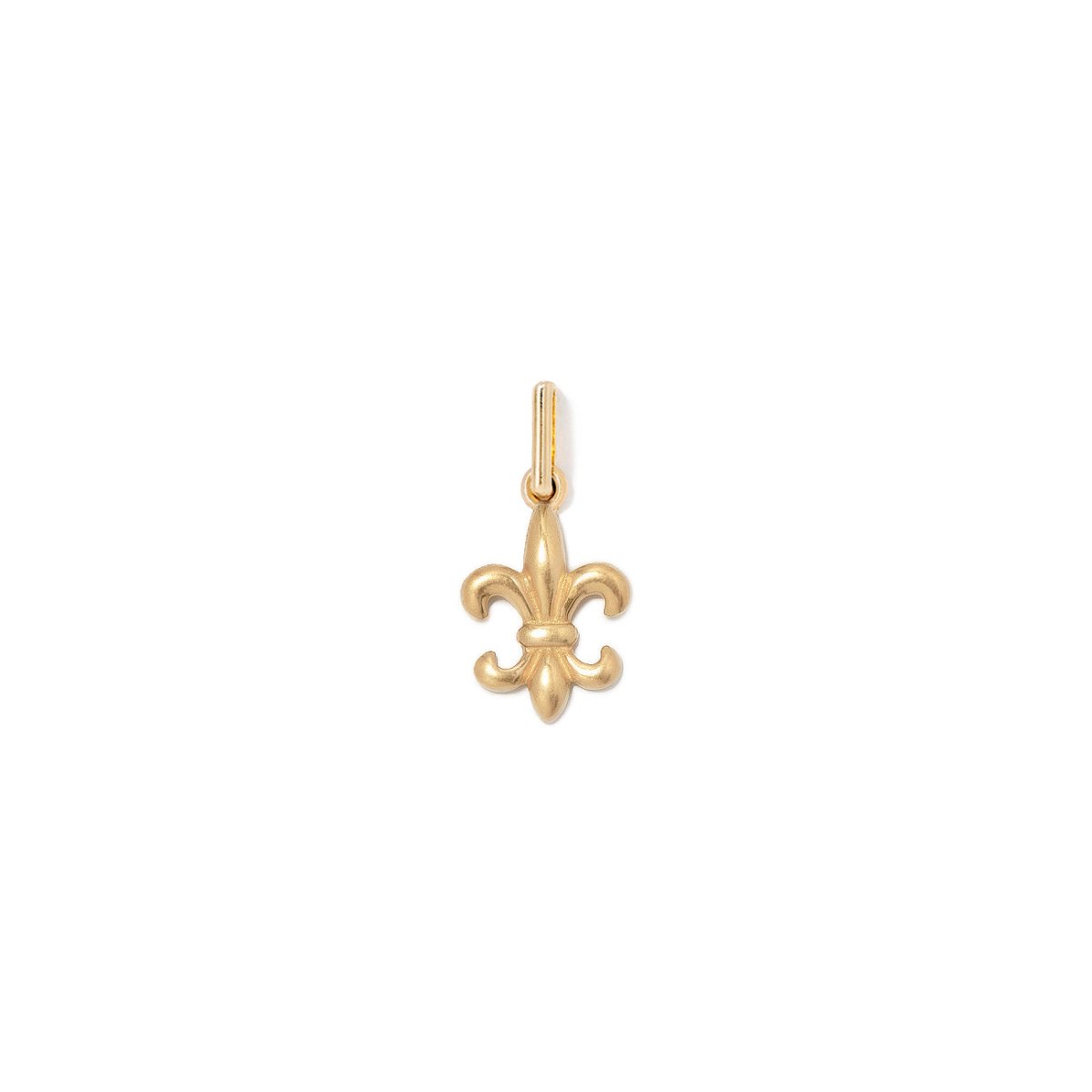 Fleur de Lis Charm