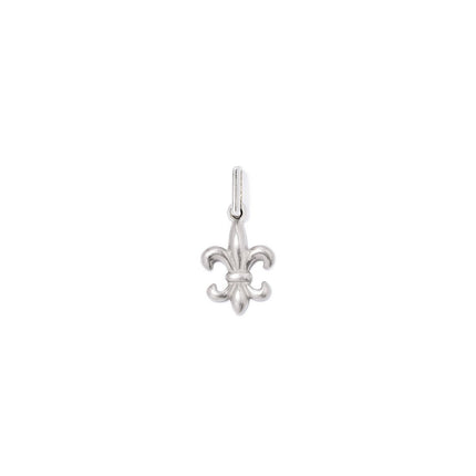 Fleur de Lis Charm