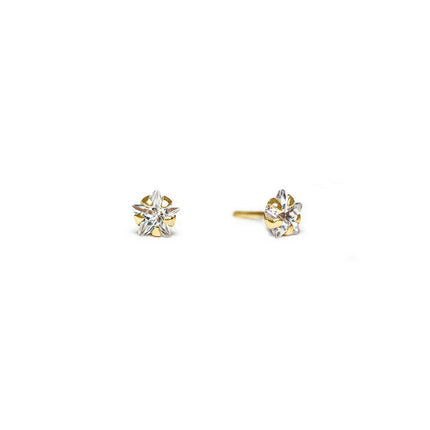 Solid Gold Tiny Star Studs