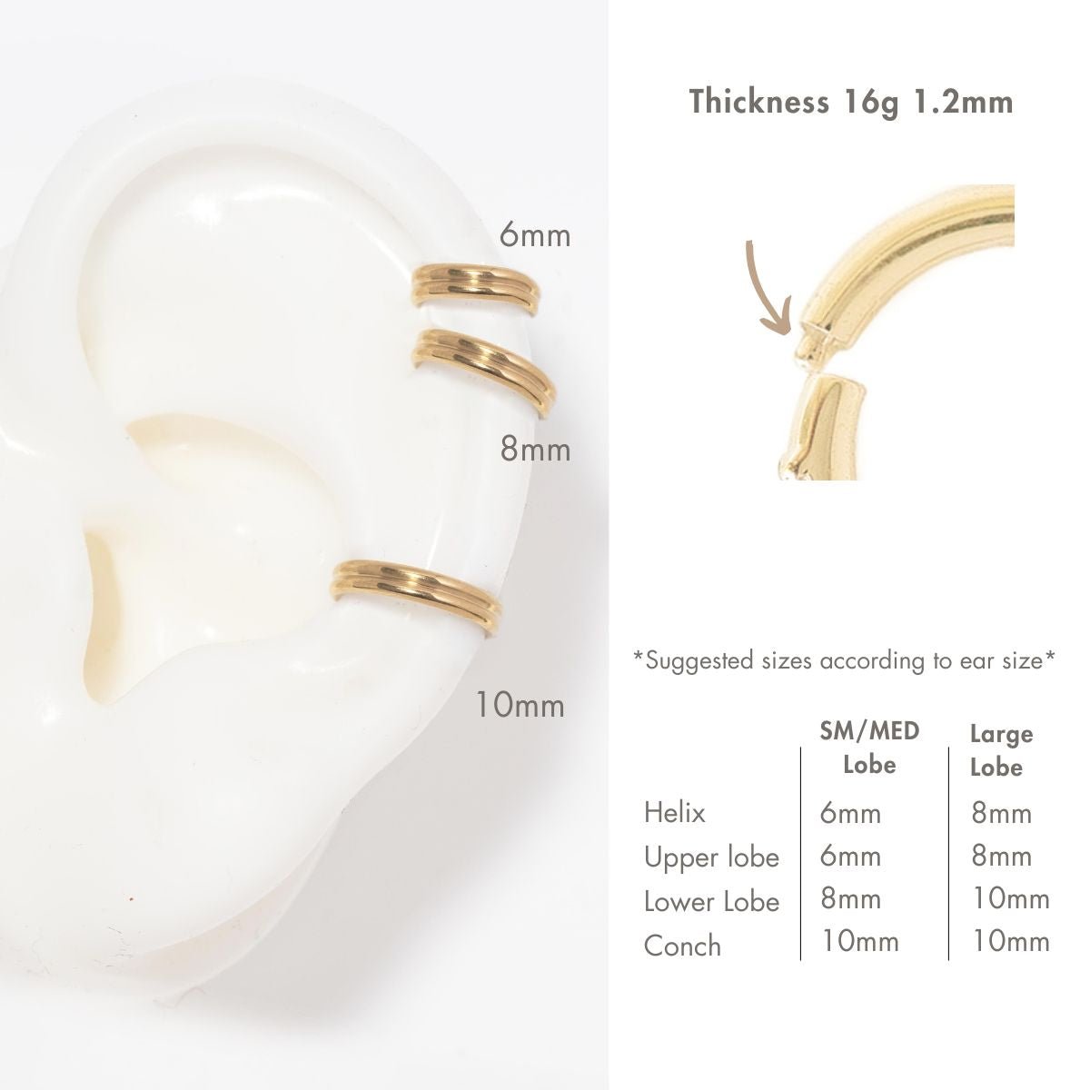 Classic Double Hoop Earring