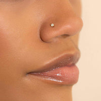 Tiny Bezel Nose Stud