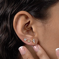 E487,ES212,ES204SC-2_AR1x1_C240227