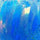 Dark Blue Opal