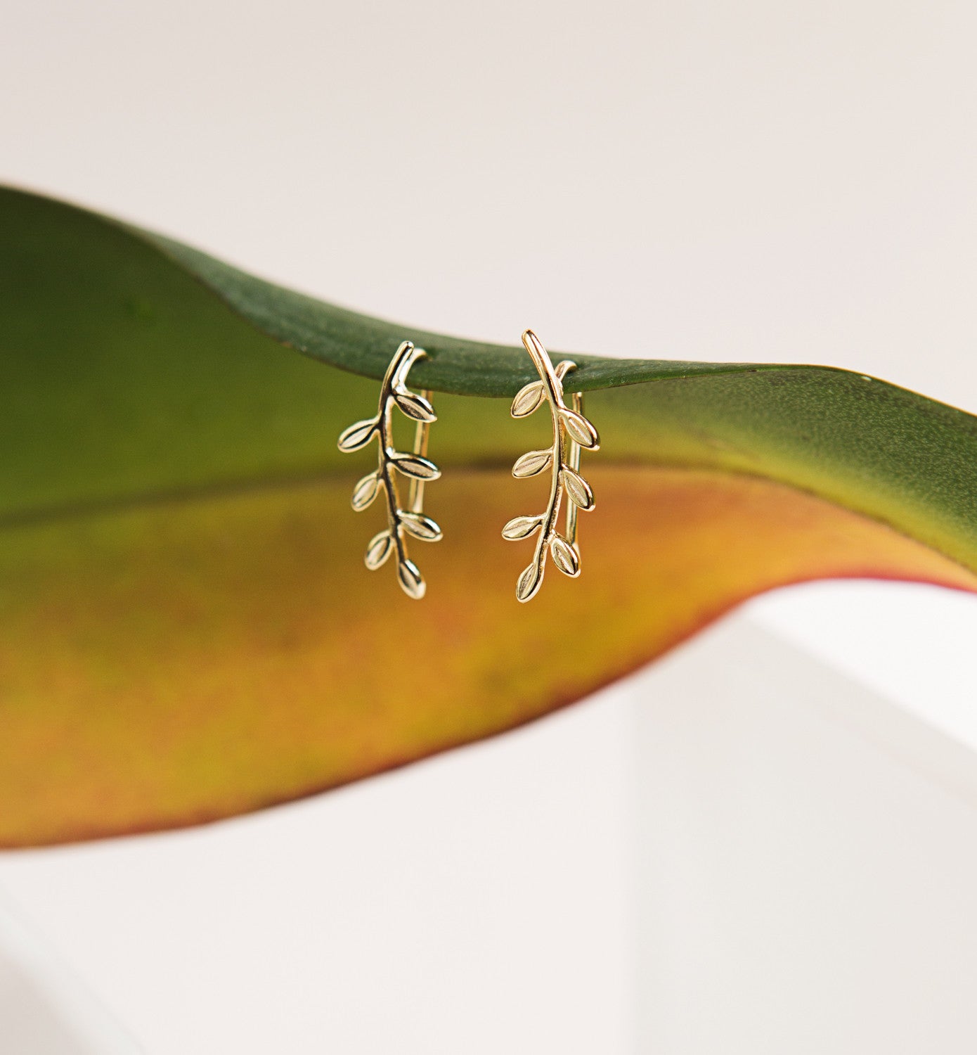 Leaf Ear Climber Earrings, Earrings - AMY O. Jewelry